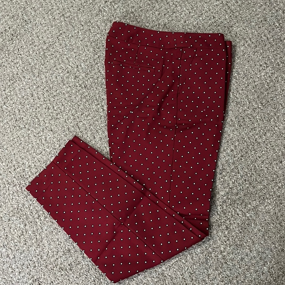 Express Dress Pant
